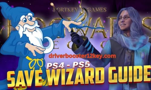 Save Wizard License Key-1