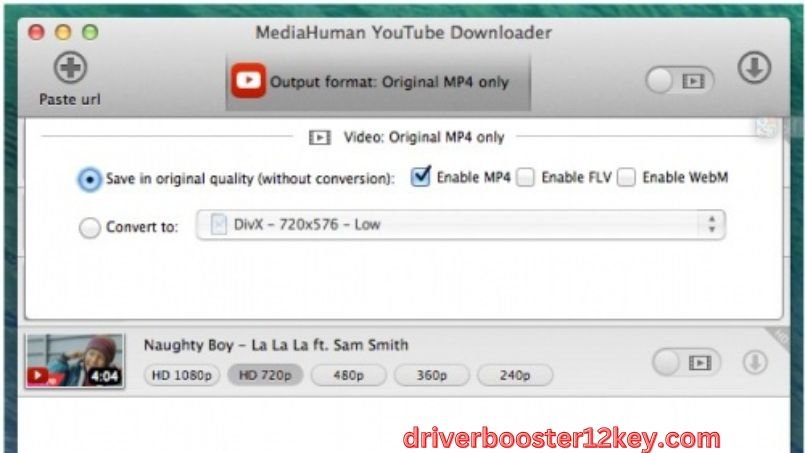 Mediahuman Youtube Downloader Key-2